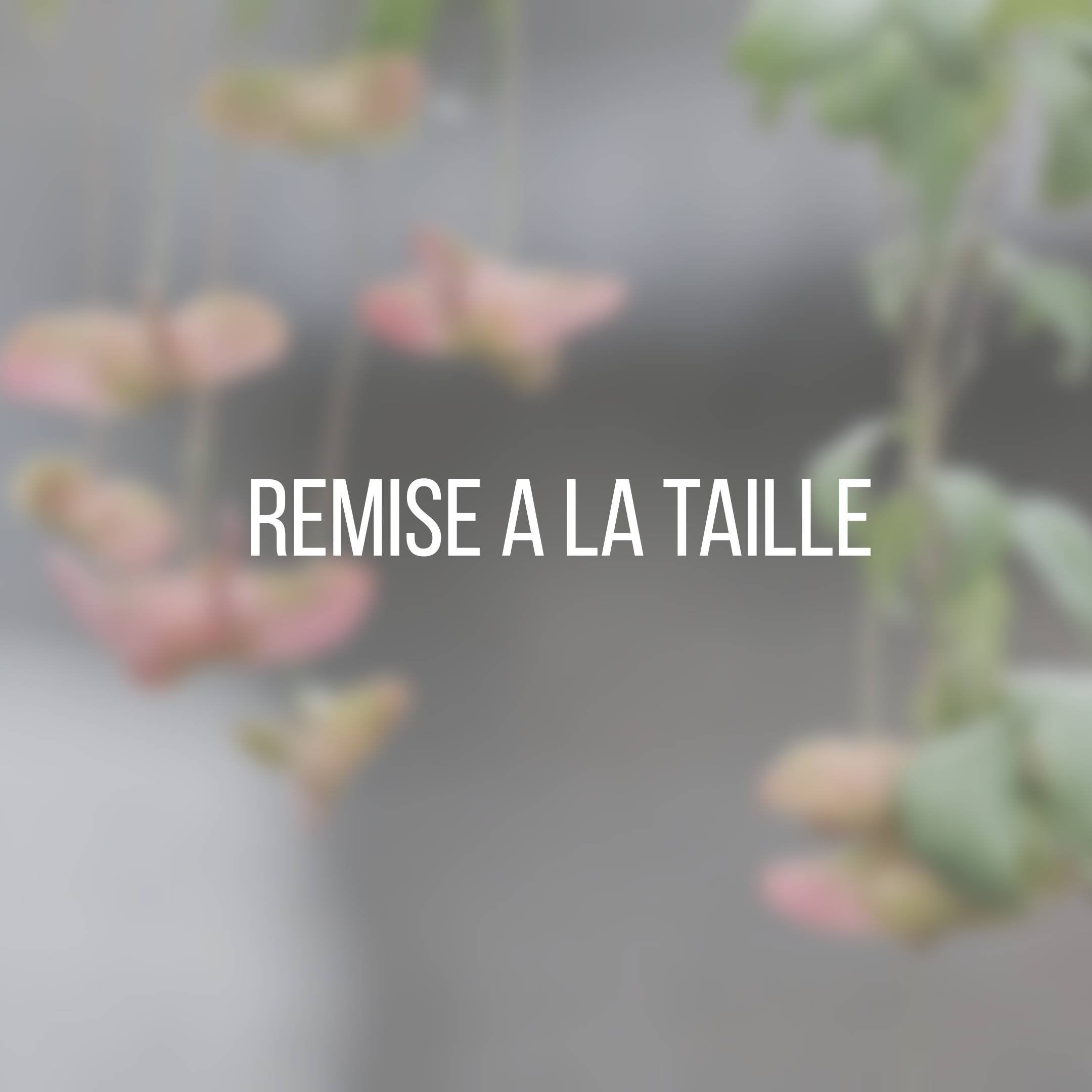 Remise à la taille de bracelet