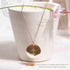 collier signe astrologique belier